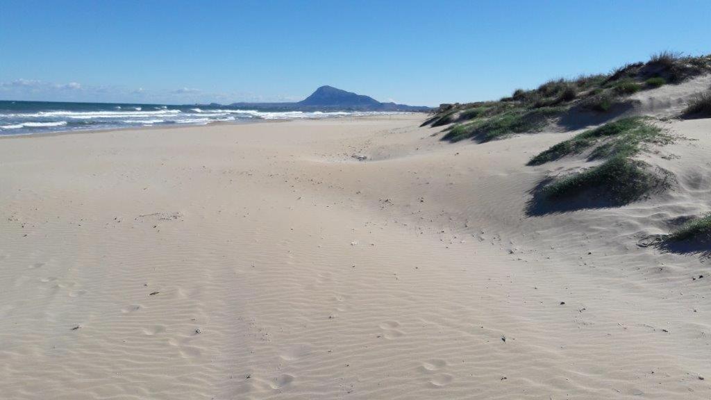 Oliva Nova - Golf&Beach Cabagua Kültér fotó